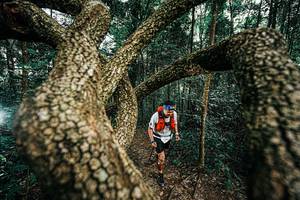 BIB: 
                            <button type="button" onclick="openModal(25393282)" class="btn btn-primary btn-sm float-right btn-popup" data-toggle="modal" data-target=".modal-high-quality">
                        <i class="fas fa-shopping-cart"></i> Add to Cart
                    </button>
                                            <button type="button" onclick="isThisMe(25393282, true)" class="btn btn-success btn-sm float-right btn-popup btn-isme hidden" data-toggle="tooltip" data-placement="bottom" title="นี่คือรูปของคุณใช่ไหม คลิกที่นี่เพื่อเอาเข้าอัลบั้ม">
                        <i class="fas fa-plus"></i> Add to album
                    </button>
                    <button type="button" onclick="isThisMe(25393282, false)" class="btn btn-warning btn-sm float-right btn-popup btn-isnotme hidden">
                        <i class="fas fa-ban"></i> Remove from album
                    </button>